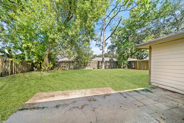 a view of a yard with plants and trees