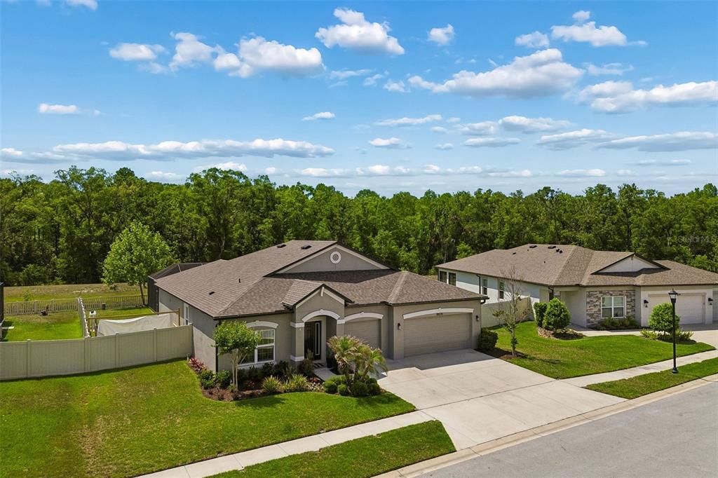 18078 Romanesque Court Spring Hill, FL 34610 - Photo 81 of 98