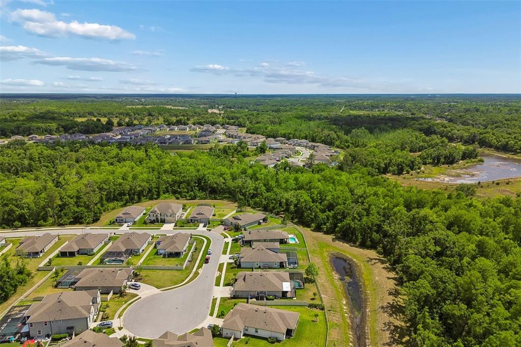 18078 Romanesque Court Spring Hill, FL 34610 - Photo 86 of 98 an aerial view of residential houses with outdoor space