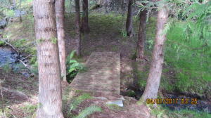 37430 Upper Nestucca Road Beaver, OR 97108 - Photo 11 of 20 Footbridge over the Creek