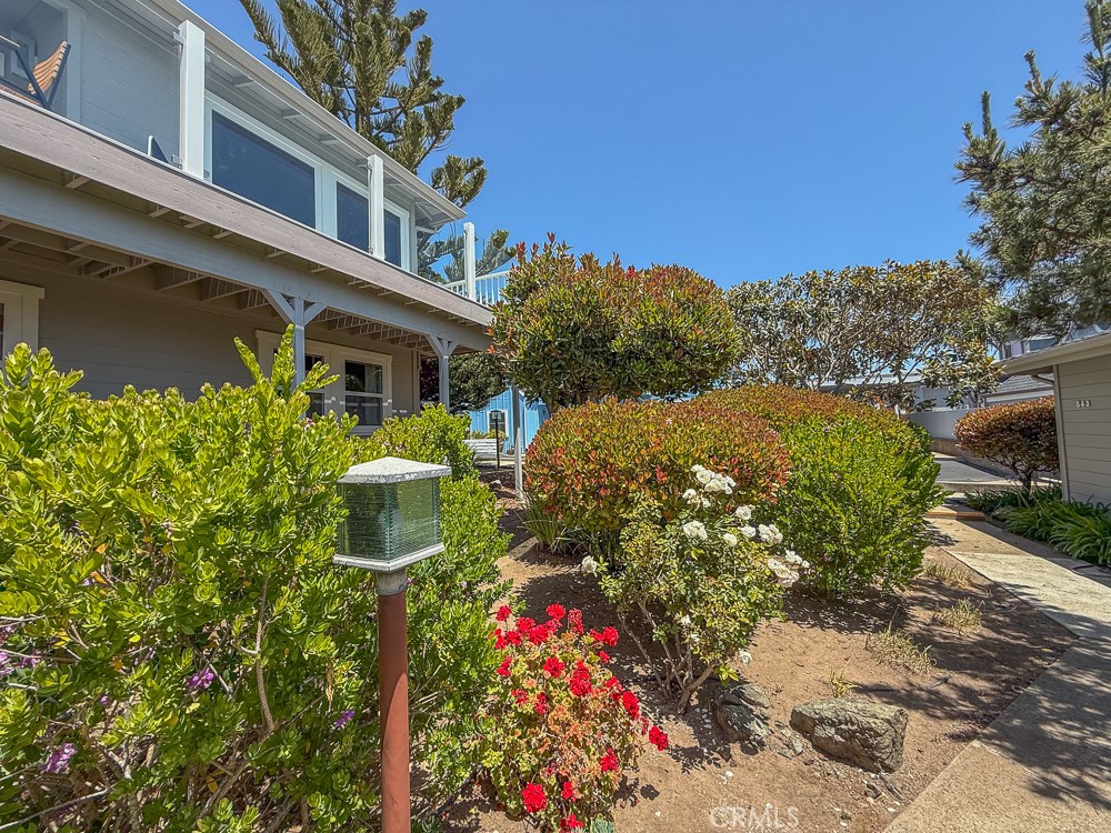 557 Lucerne Street Cayucos, CA 93430 - Photo 31 of 51 Looking up at new glass on the deck