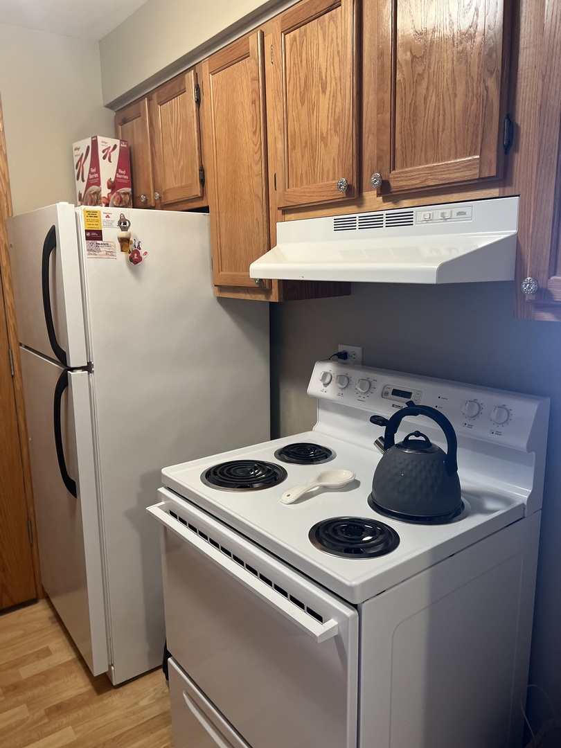 5117 North East River Road, Unit 2A Chicago, IL 60656 - Photo 25 of 32 a bathroom with a sink and a refrigerator
