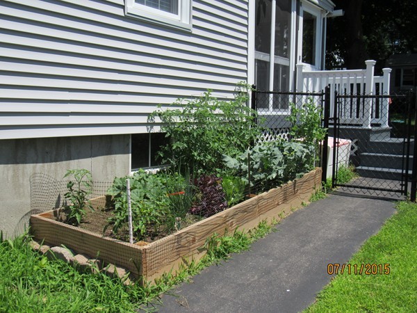 42 Rockingham Avenue Lowell, MA 01851 - Photo 8 of 28 Gallery Image 8