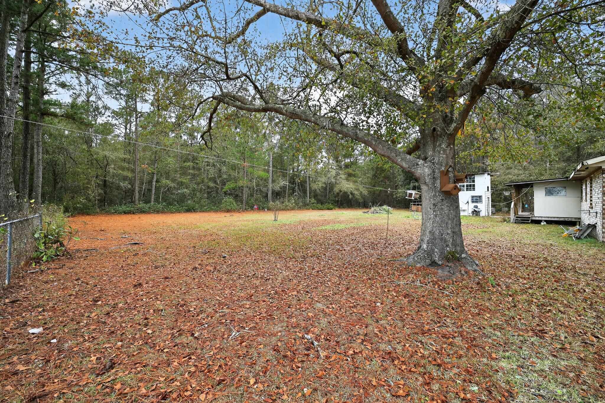 8345 Highway 917 Nichols, SC 29581 - Photo 2 of 27