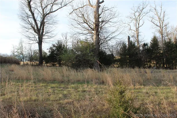 $21,900 | Lot C-12 Country Life Road, Gravois Mills, MO 65037