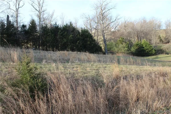 $21,900 | Lot C-12 Country Life Road, Gravois Mills, MO 65037