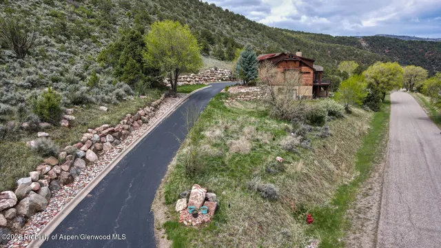 a view of a garden with a pathway