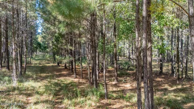 $89,900 | 151 Garbacon Drive, Beaufort, NC 28516