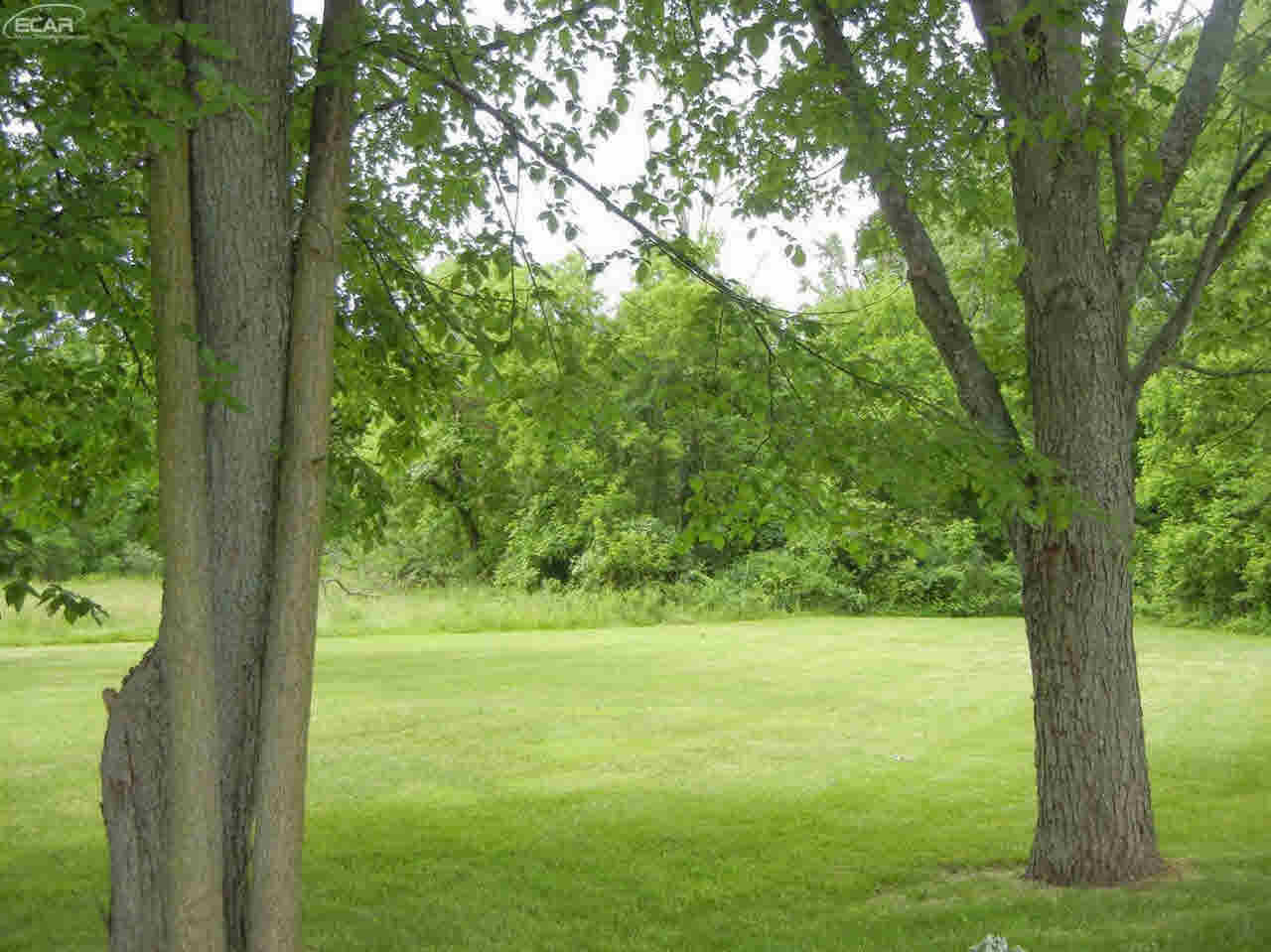 0 Summit Street Durand, MI 48429 - Photo 7 of 8