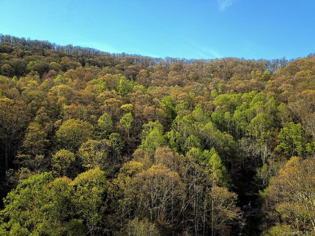 0 Rogers Cove Road Waynesville, NC 28785 - Photo 2 of 16 an aerial view of houses covered in trees