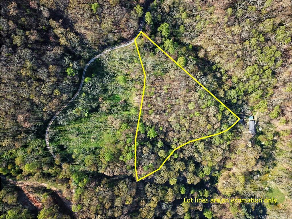 0 Rogers Cove Road Waynesville, NC 28785 - Photo 16 of 16 a view of a yard with a plant