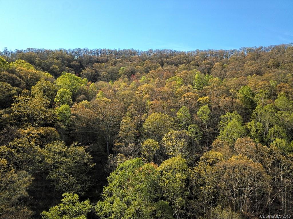 0 Rogers Cove Road Waynesville, NC 28785 - Photo 3 of 16 a view of a city