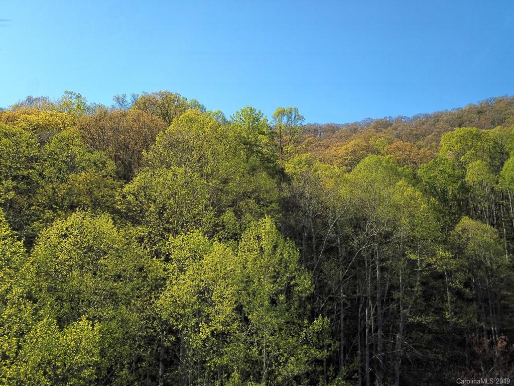 0 Rogers Cove Road Waynesville, NC 28785 - Photo 4 of 16 a view of a mountain