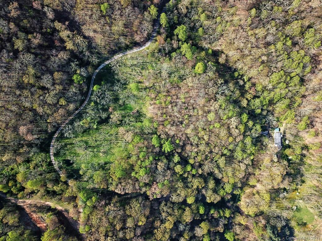0 Rogers Cove Road Waynesville, NC 28785 - Photo 5 of 16 a view of a lush green forest