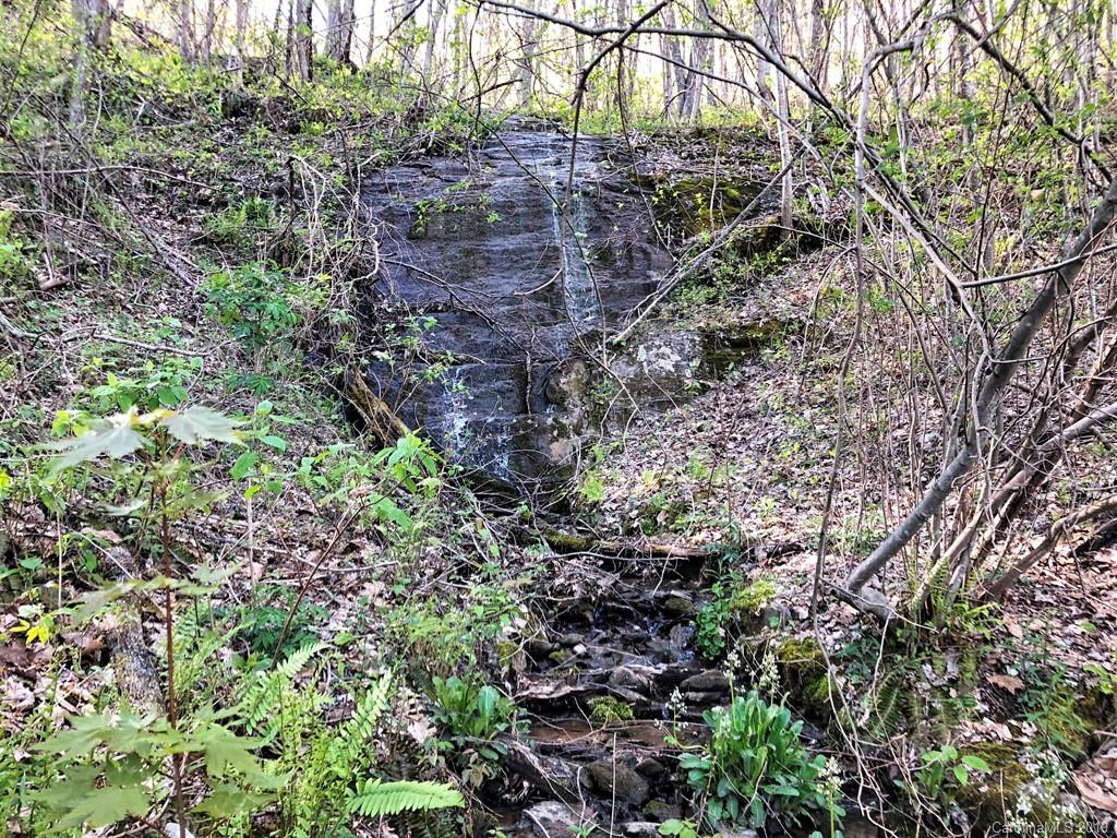 0 Rogers Cove Road Waynesville, NC 28785 - Photo 10 of 16 a view of a forest that has a tree