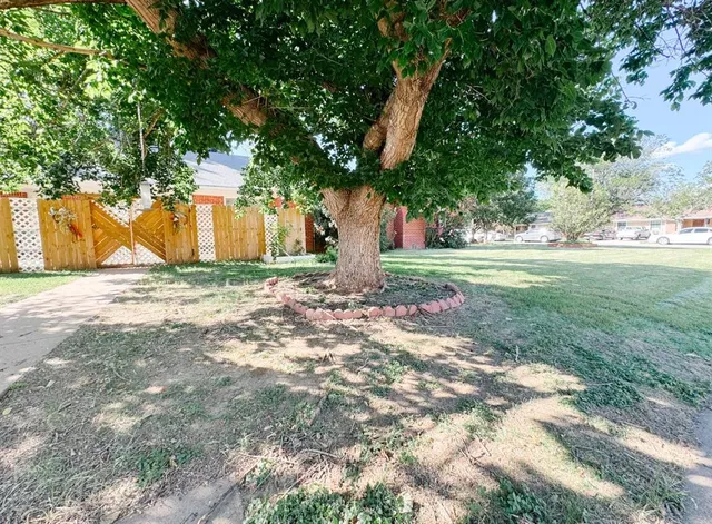 a view of a backyard with large tree
