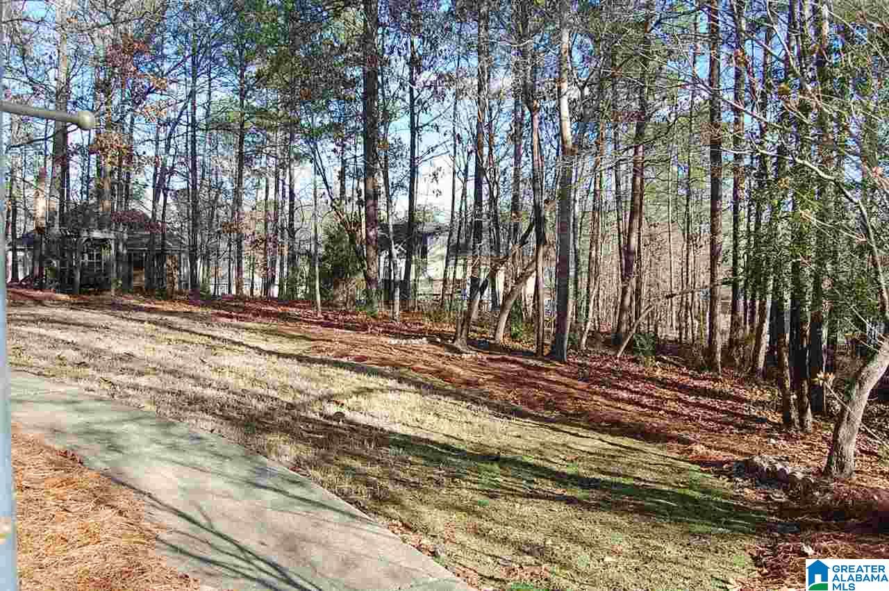 124 Grande View Lane Alabaster, AL 35114 - Photo 23 of 27