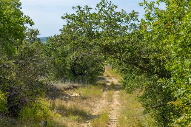 a view of a lake and mountain in the back