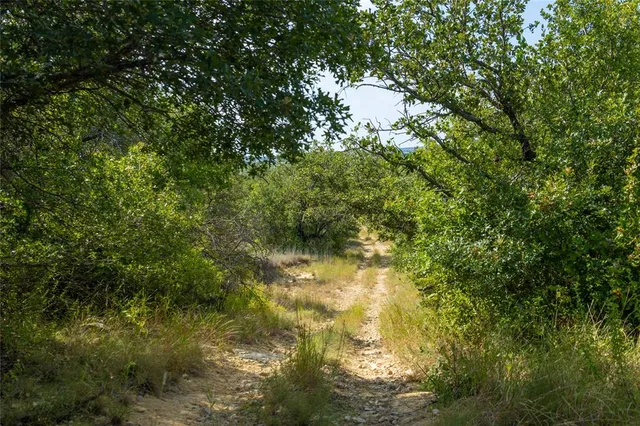 a view of house with background and trees