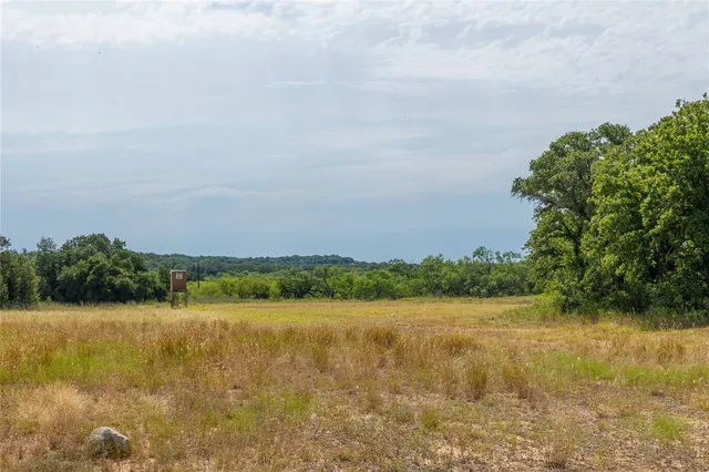 a view of a big yard with plants and large trees