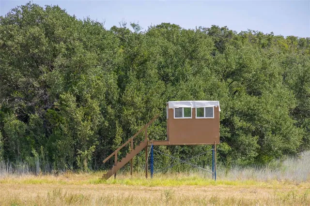 a view of a lake with a tree