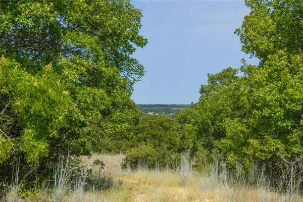 a view of a lush green space and sea