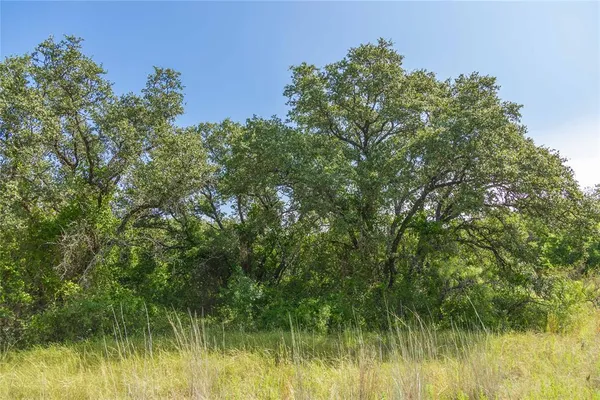 a house with trees in the background