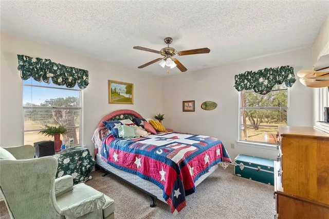 a view of a back yard of the patio