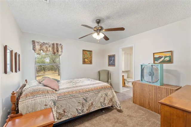 a view of a backyard with plants