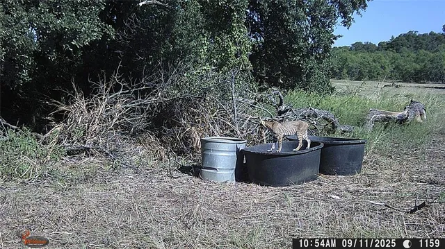 $1,639,000 | 447 County Road 411, Coleman, TX 76834