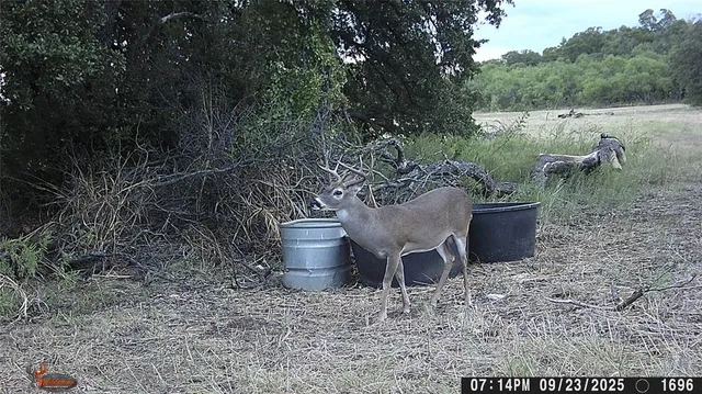 $1,639,000 | 447 County Road 411, Coleman, TX 76834