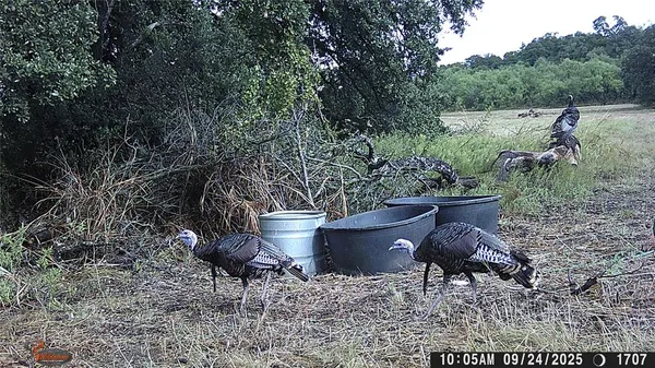 $1,517,000 | 447 County Road 411, Coleman, TX 76834
