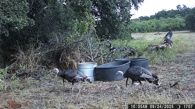 $1,639,000 | 447 County Road 411, Coleman, TX 76834