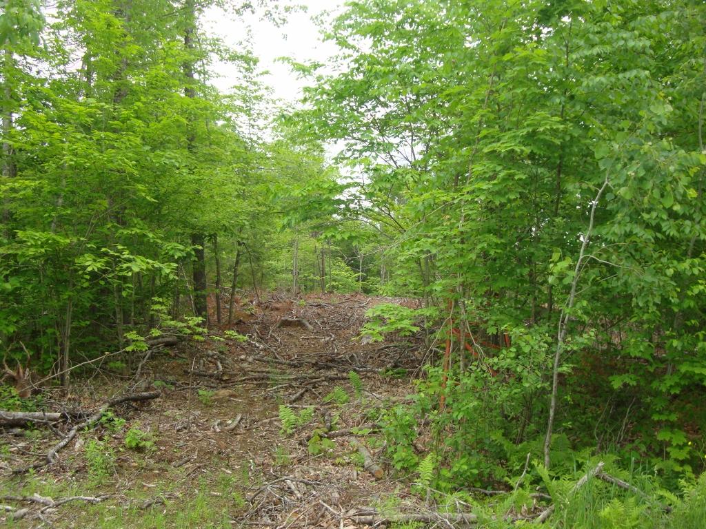 228 N Road Salisbury, NH 03235 - Photo 8 of 26 Gallery Image 8
