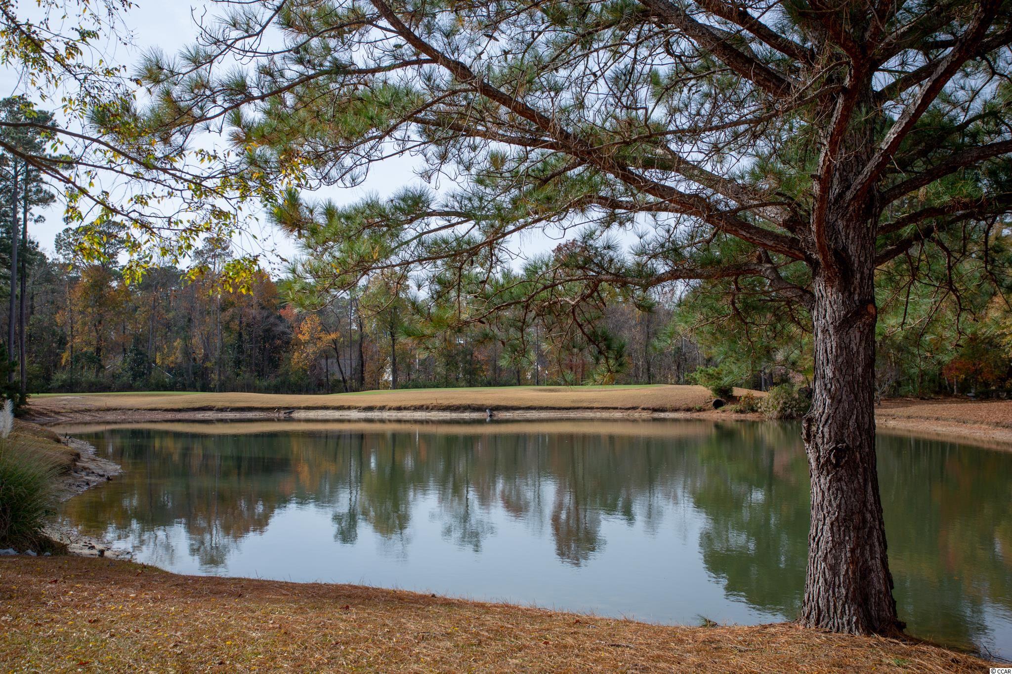 4547 Fringetree Drive Murrells Inlet, SC 29576 - Photo 25 of 28 Gallery Image 25