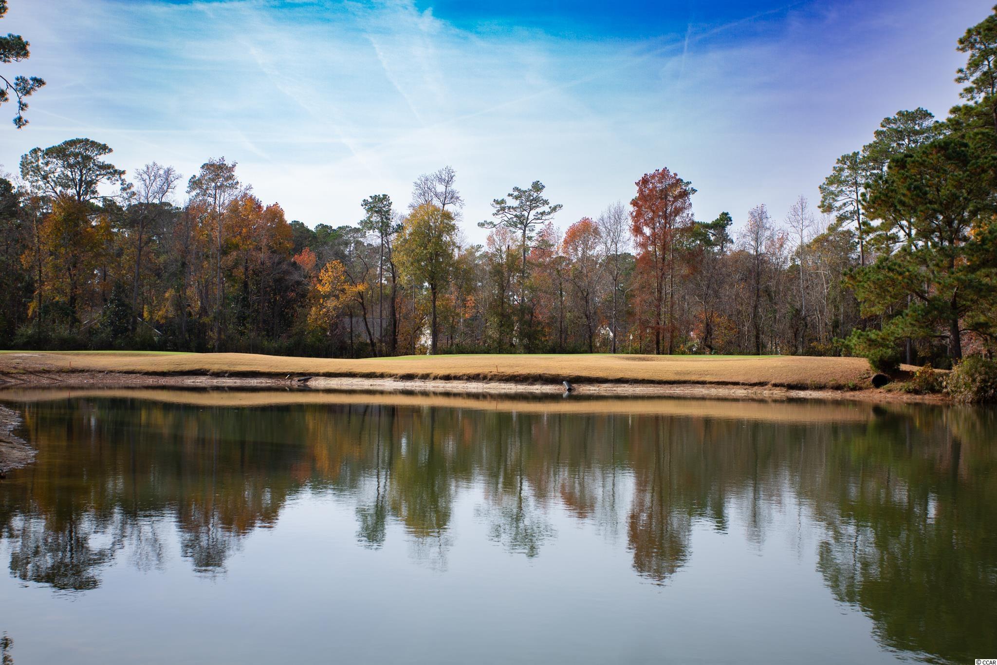 4547 Fringetree Drive Murrells Inlet, SC 29576 - Photo 26 of 28 Gallery Image 26