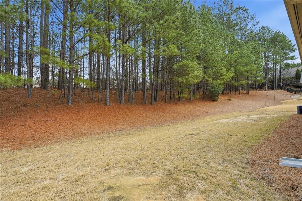 163 Hawthorne Ridge Circle Dallas, GA 30132 - Photo 42 of 50 a backyard of a house with lots of green space