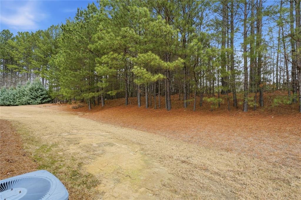 163 Hawthorne Ridge Circle Dallas, GA 30132 - Photo 43 of 50 a view of outdoor space with trees