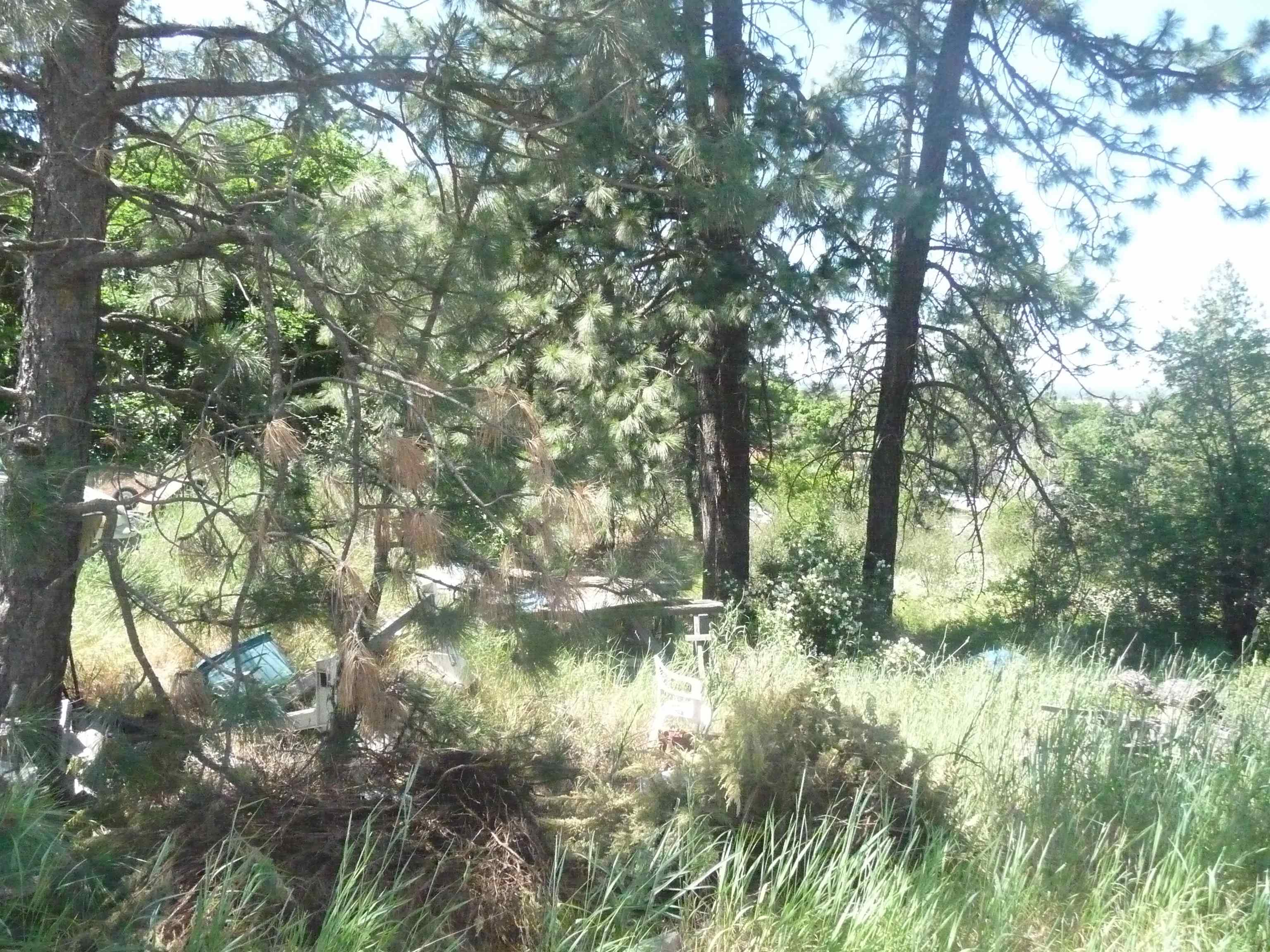 8-th & South Florida Street Spokane, WA 99202 - Photo 2 of 6