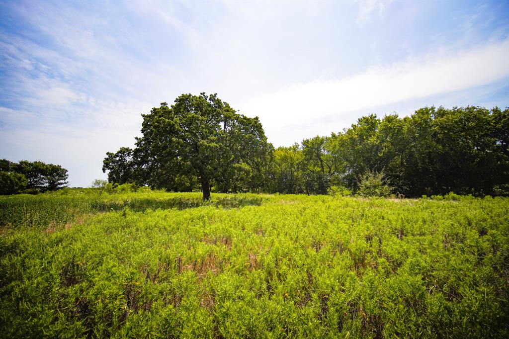 29.47-acres 29.47-acres Ballard Road Jacksboro, TX 76458 - Photo 13 of 26 a yard with swimming pool and green space