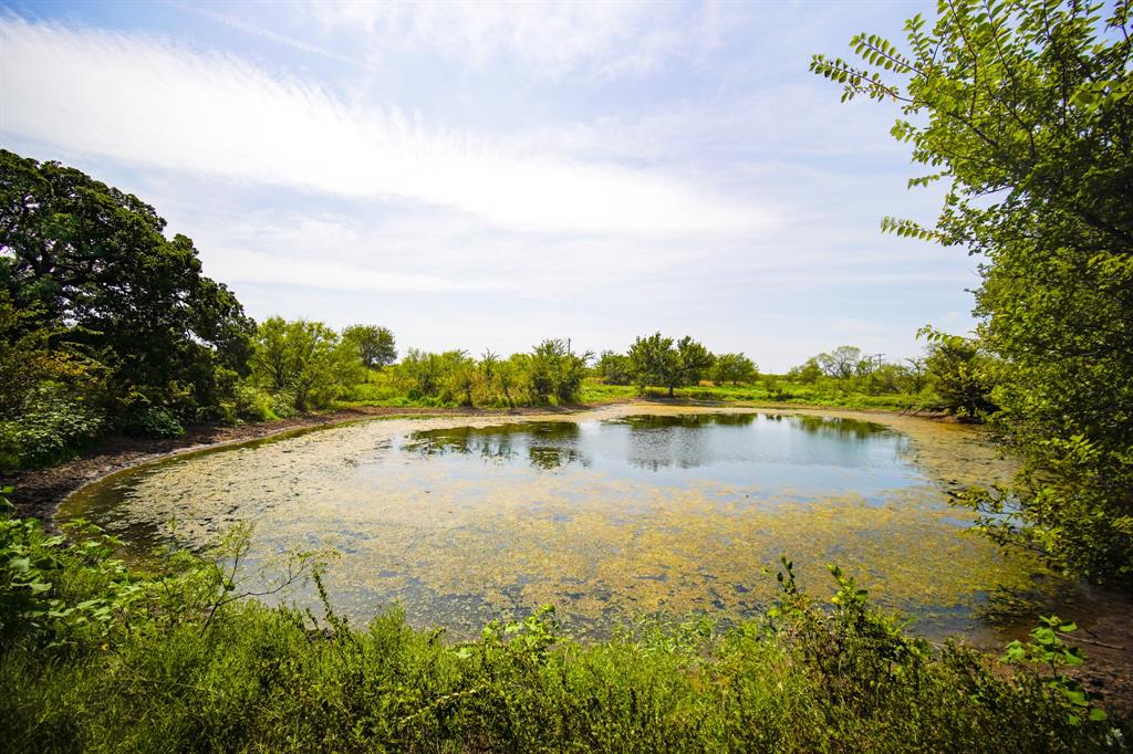 29.47-acres 29.47-acres Ballard Road Jacksboro, TX 76458 - Photo 17 of 26