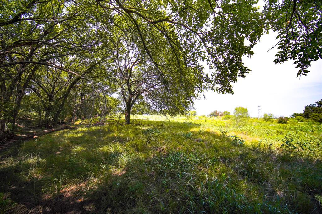 29.47-acres 29.47-acres Ballard Road Jacksboro, TX 76458 - Photo 20 of 26