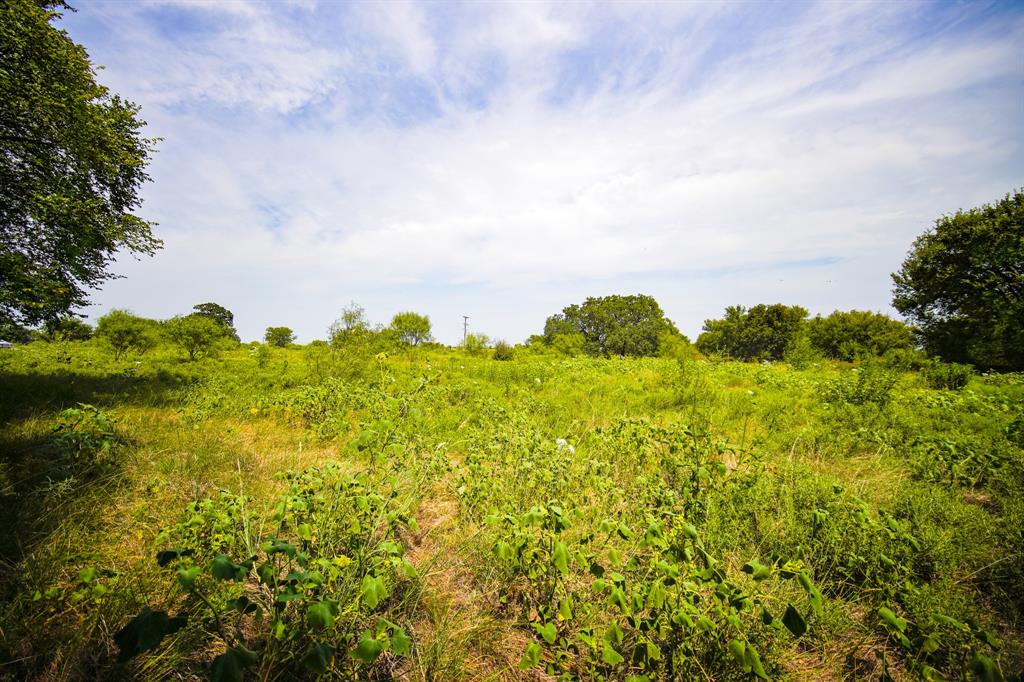 29.47-acres 29.47-acres Ballard Road Jacksboro, TX 76458 - Photo 21 of 26 a view of a bunch of trees and bushes