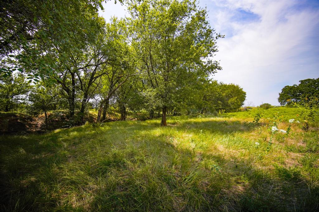 29.47-acres 29.47-acres Ballard Road Jacksboro, TX 76458 - Photo 22 of 26 a view of lake view