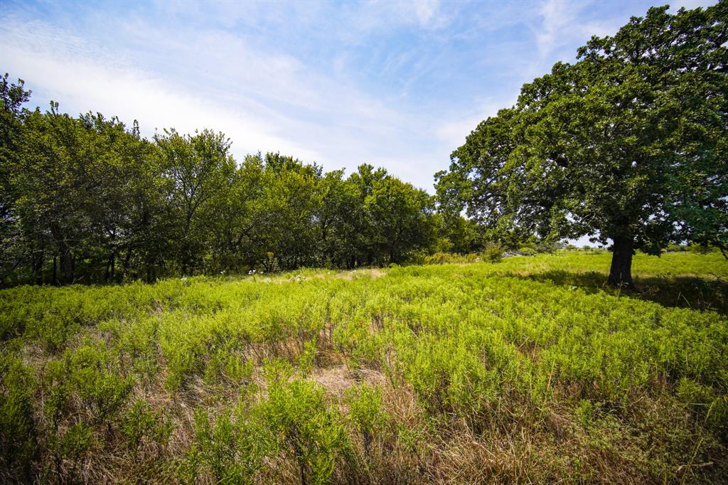 29.47-acres 29.47-acres Ballard Road Jacksboro, TX 76458 - Photo 23 of 26 a backyard of a house with lots of plants and trees