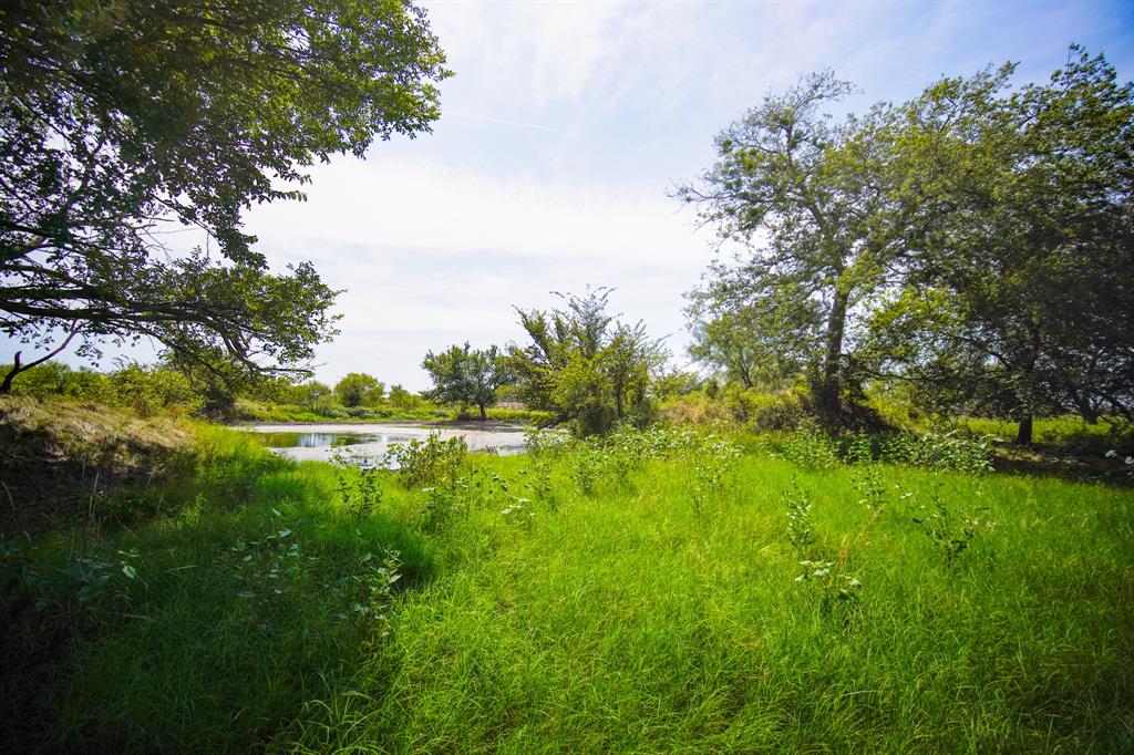 29.47-acres 29.47-acres Ballard Road Jacksboro, TX 76458 - Photo 24 of 26 a view of lake with green space