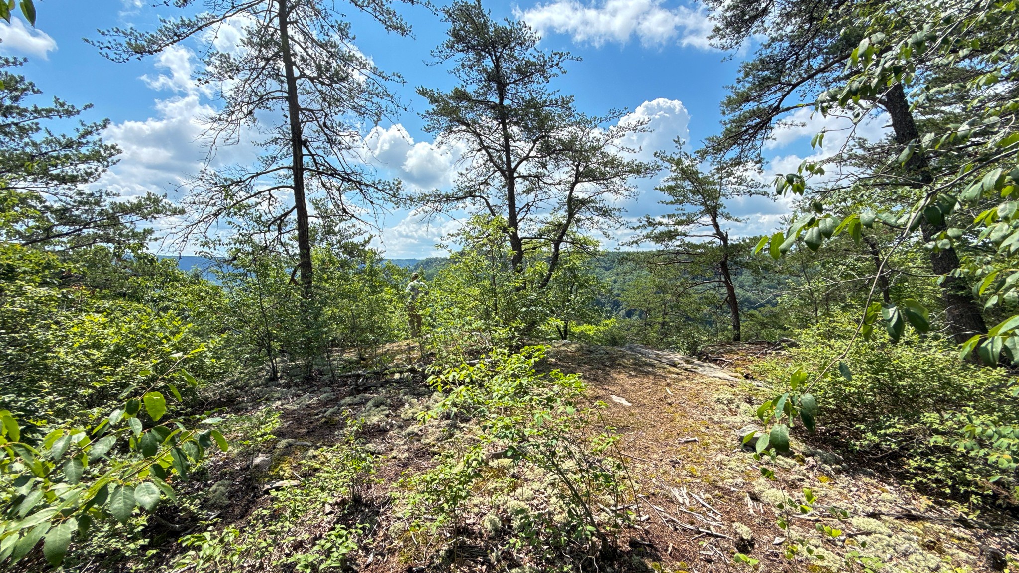0 Flat Rock Road Jamestown, TN 38556 - Photo 2 of 20