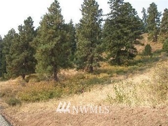 510 Low Road Cle Elum, WA 98922 - Photo 1 of 1 Gallery Image 1