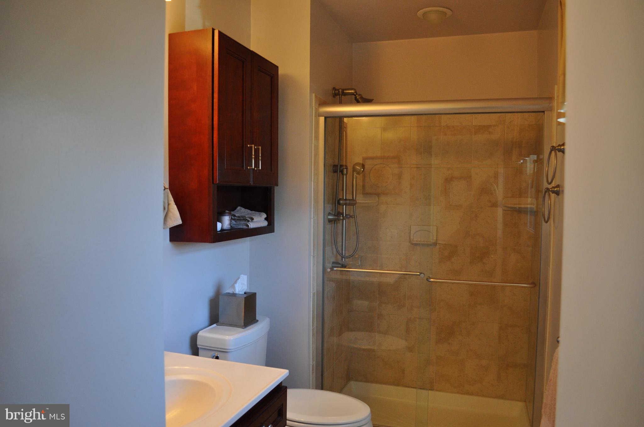 5159 Downwest Ride Columbia, MD 21044 - Photo 15 of 23 a bathroom with a shower a sink and a toilet