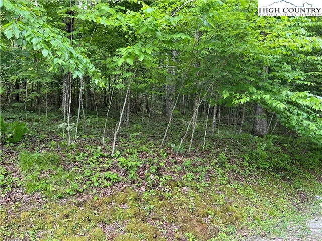 $34,900 | Lot 5 Grande Oaks Drive, Todd, NC 28684